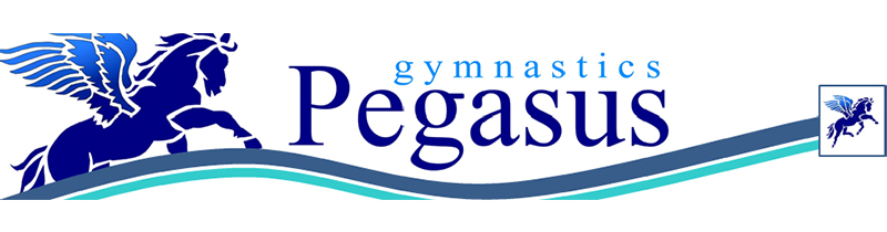 Banner pegasus
